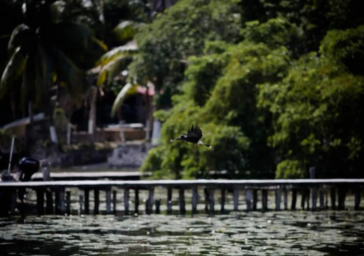 Lagoon Special Suite: Bikes & Kayaks! Bacalar 0*,  México